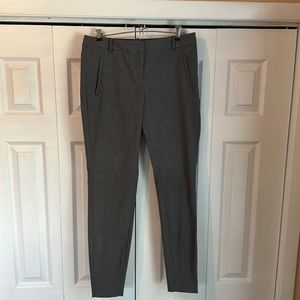 The Limited Exact Stretch Gray Pants